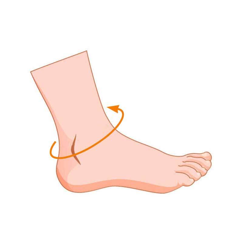 Ankle Measurement Diagram